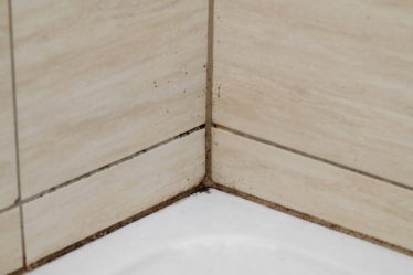 Un carreleur mosaïste commence toujours par une phase de préparation minutieuse. D’abord, il évalue la surface à carreler avec précision.
