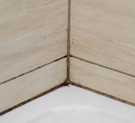 Un carreleur mosaïste commence toujours par une phase de préparation minutieuse. D’abord, il évalue la surface à carreler avec précision.